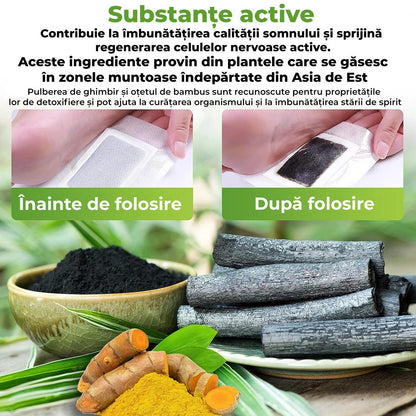 Plasturi Detoxifianți pentru Tălpi Kinoki Kiyome – 100 bucăți