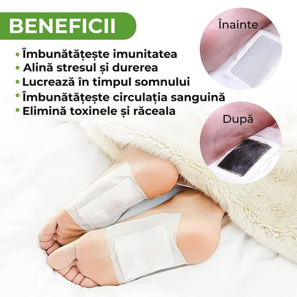 Plasturi Detoxifianți pentru Tălpi Kinoki Kiyome – 100 bucăți
